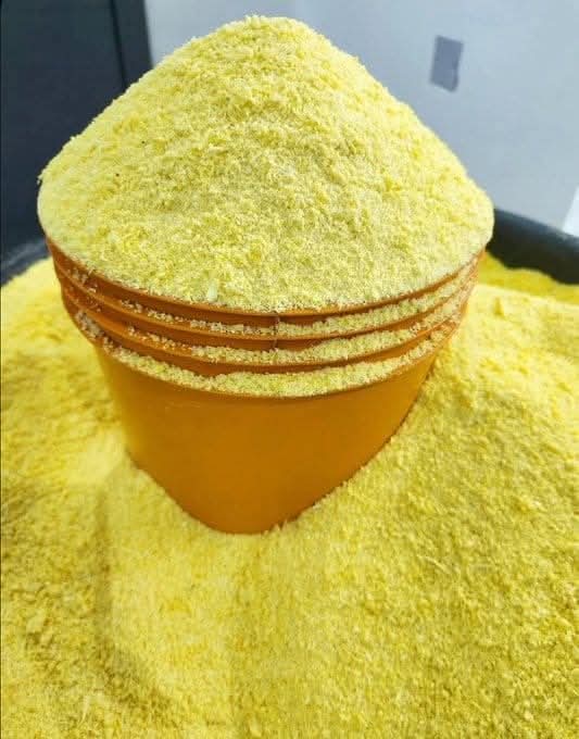 Yellow garri painter