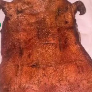 Dried bush meat