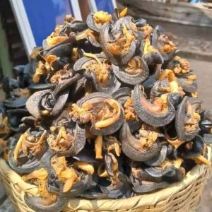 Oven dried snails jumbo